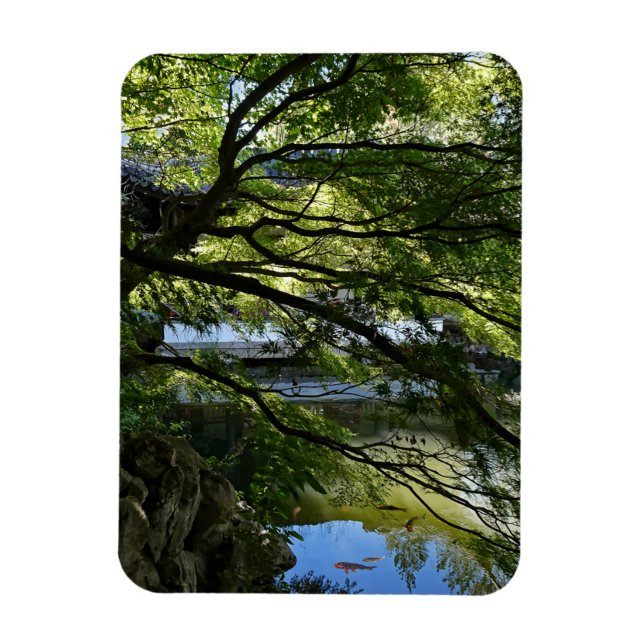 Íman Koi Pond no Jardim Chinês (Vertical)