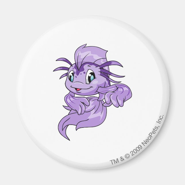 Íman Koi Purple (Frente)