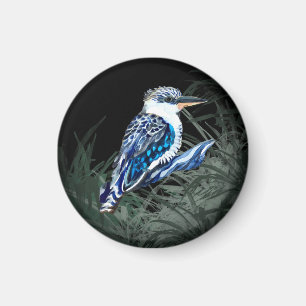 Íman Kookaburra
