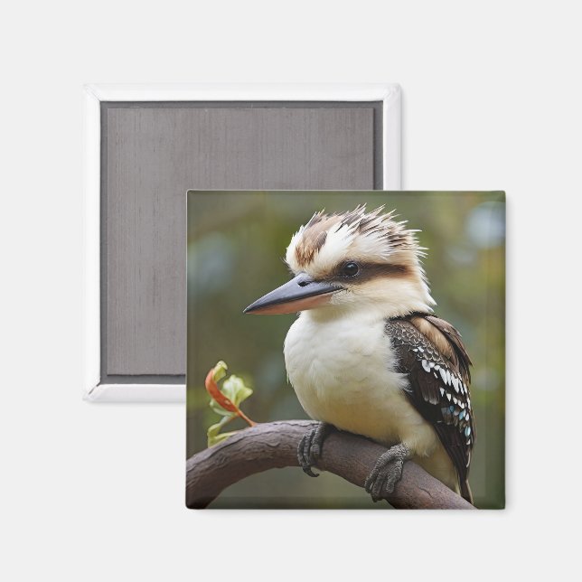 Íman Kookaburra (Front/Back)