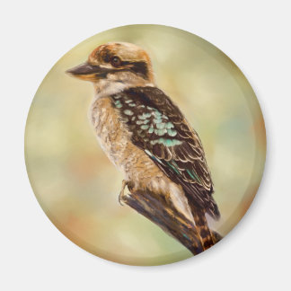 Íman Kookaburra - Arte de Aves Australiana