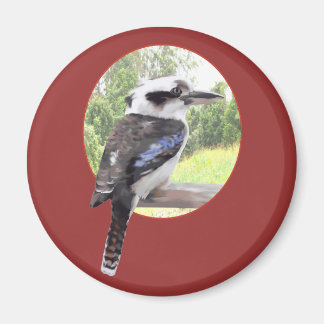 Íman Kookaburra em Círculo