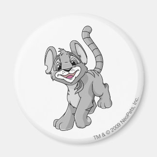 Íman Kougra Silver