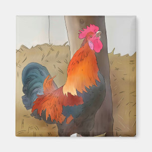 Íman Krähender Hahn