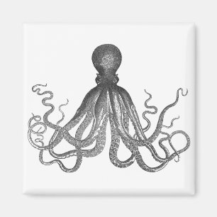Íman Kraken - Polvo Gigante Negro / Cthulu
