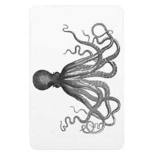 Íman Kraken - polvo gigante preto/Cthulu
