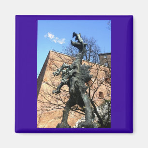 Íman Krakow, Polônia