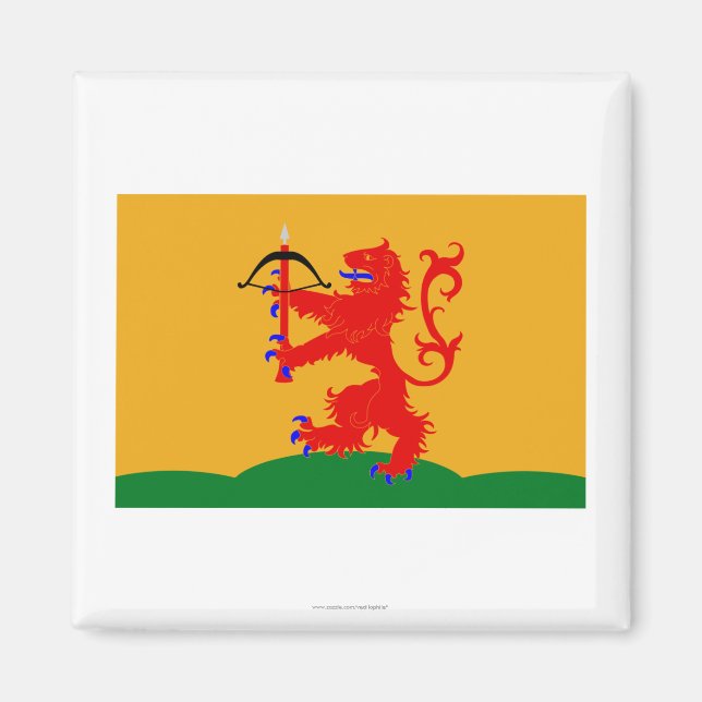 Íman Kronobergs län flag (Frente)