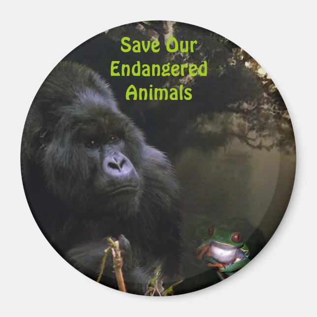 Íman Kunga Mountain Gorilla & Sapo Willife Art Magnet (Frente)