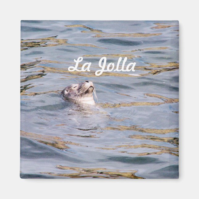 Íman La Jolla Seal (Frente)