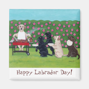 Íman Laboratórios do partido do CHURRASCO no jardim da