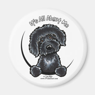 Íman Labradodle preto IAAM