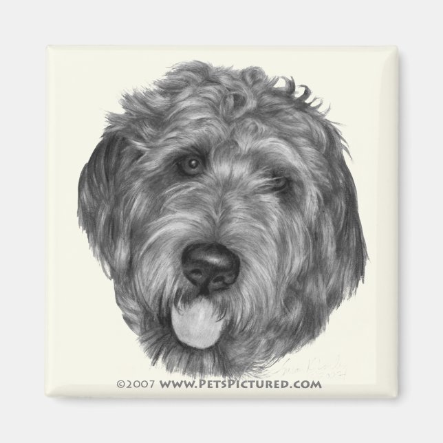 Íman Labradoodle (Frente)