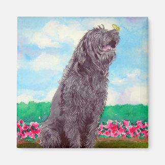 Íman Labradoodle com ímã borboleta