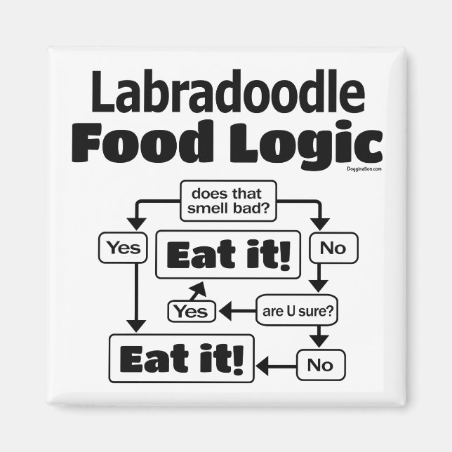 Íman Labradoodle Comida Logic (Frente)