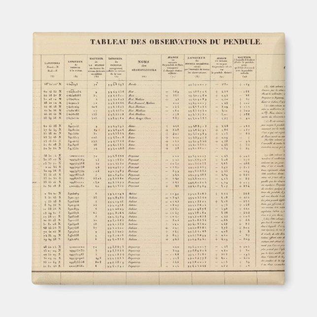 Íman Labrador 29 (Frente)