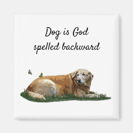 Íman Labrador Amarelo Mistura de Cães de Raça