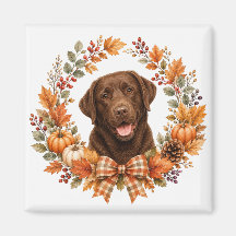 Labrador Chocolate Outono