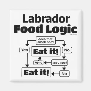 Íman Labrador Comida Logic