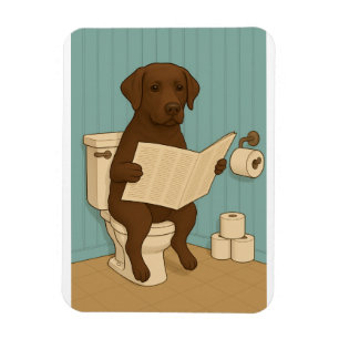 Íman Labrador de Chocolate Lendo Jornal em Banheiro