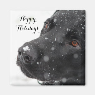 Íman Labrador preto boas festas