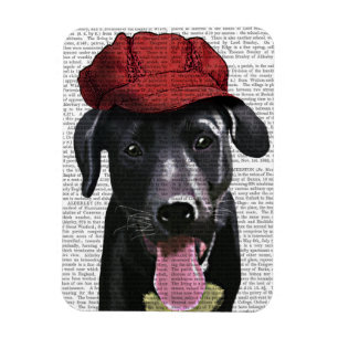 Íman Labrador Preto Com Boné Vermelho