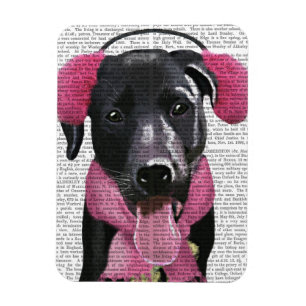 Íman Labrador Preto Com Mata De Ouvido