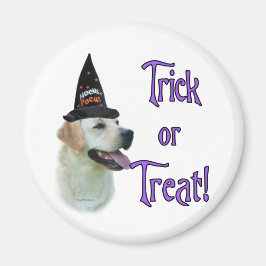 Íman Labrador Retriever (amarelo) Trick