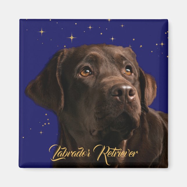Íman Labrador Retriever Starry Sky (Frente)