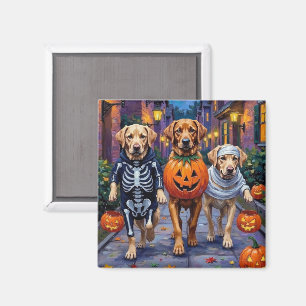 Íman Labradores pedindo doces disfarçados de Halloween