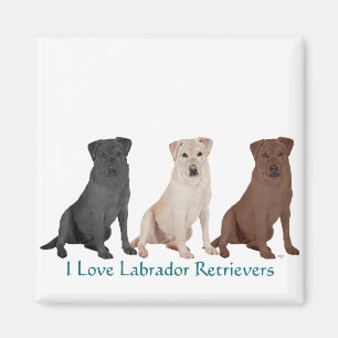 Íman Labradores Retrievers - 3 Cores para Amar