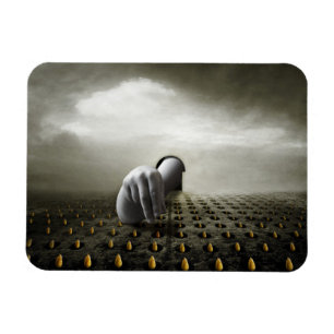 Íman Ladrão 2013 da tulipa