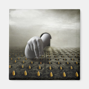 Íman Ladrão 2013 da tulipa