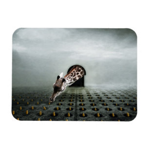 Íman ladrão de tulipas 2 2013