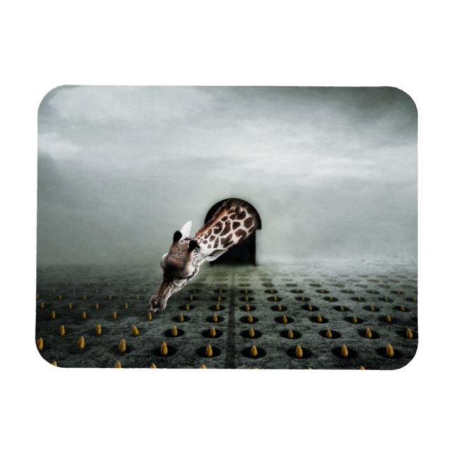 Íman ladrão de tulipas 2 2013 (Horizontal)