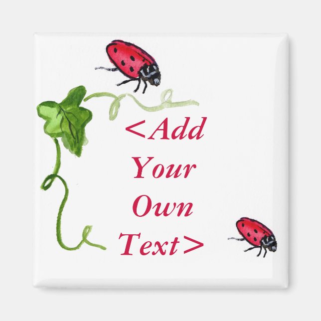 Íman Lady Bug Magnet (Frente)
