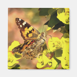 Íman Lady Butterfly pintada em Myrtle Spurge