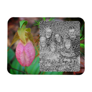 Íman Lady Slipper Orchid Frame Add Your Photo