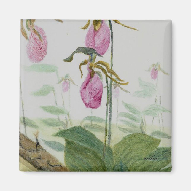 Íman Lady Slippers (Frente)