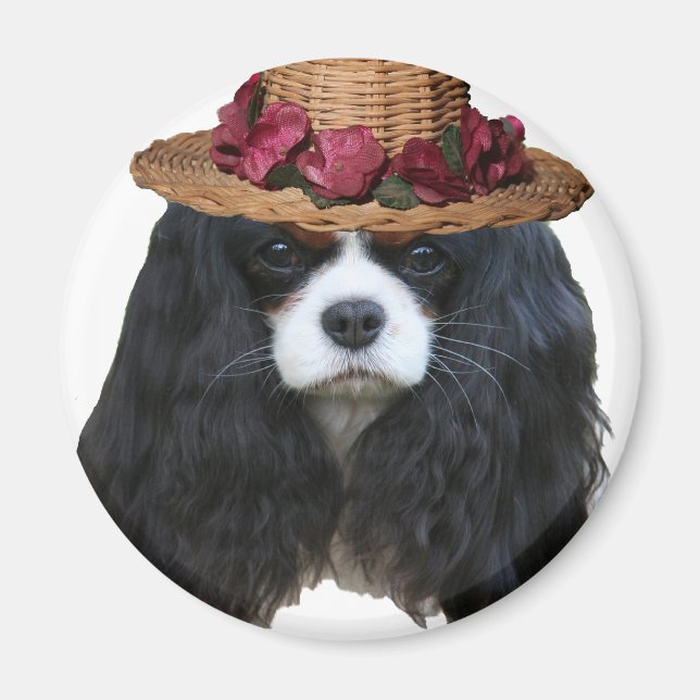 Íman Lady Tansy (Frente)