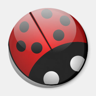 Íman Ladybug