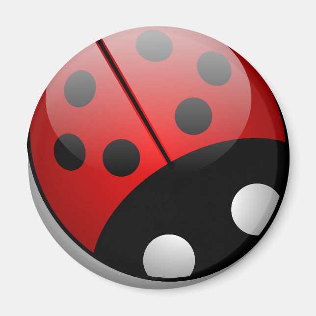 Íman Ladybug (Frente)
