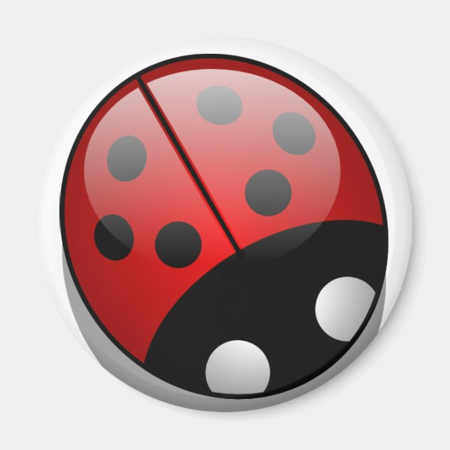 Íman Ladybug (Frente)