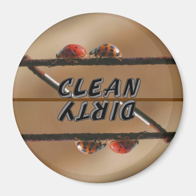 Íman Ladybug Buddies (Frente)