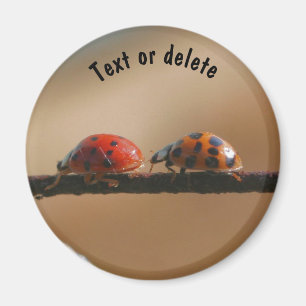 Íman Ladybug Buddies Nature Personalizado