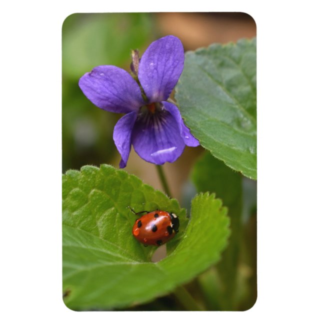 Íman Ladybug em Flores de Violeta Doce (Vertical)