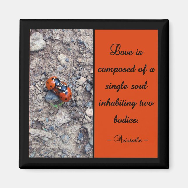 Íman Ladybug Kisses (Frente)