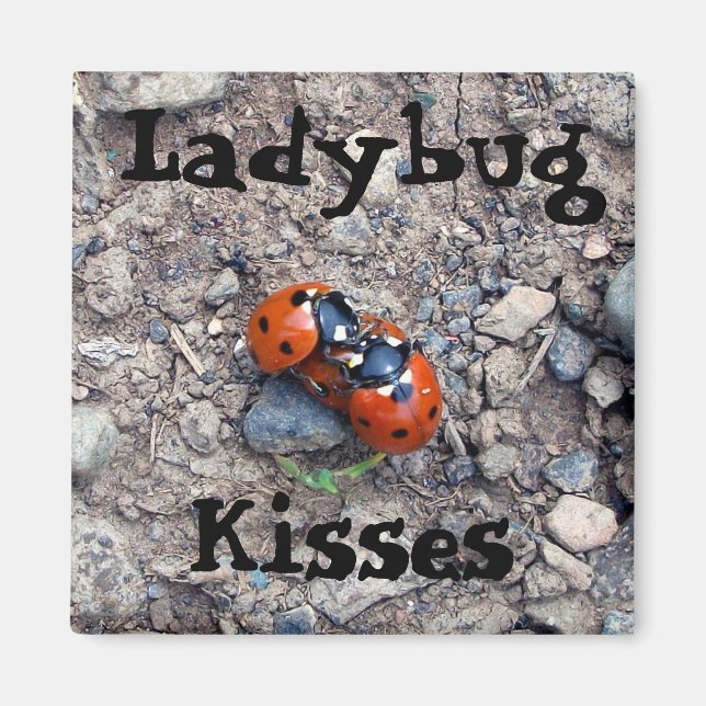Íman Ladybug Kisses (Frente)