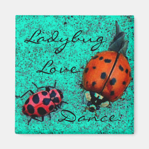 ÍMAN LADYBUG LOVE DANCE MAGNET
