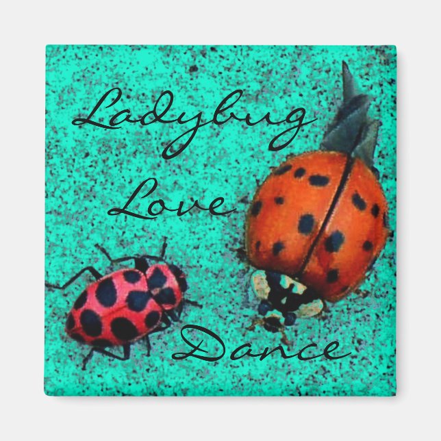 ÍMAN LADYBUG LOVE DANCE MAGNET (Frente)